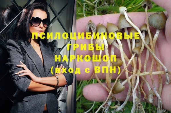 каннабис Алексин