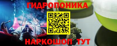 гашик Свободный