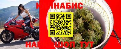 Альфа ПВП Севастополь