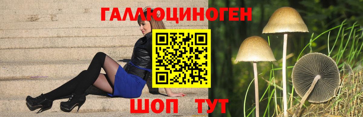 Галлюциногенные грибы мицелий Самара